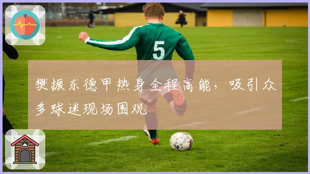 樊振东德甲热身全程高能，吸引众多球迷现场围观