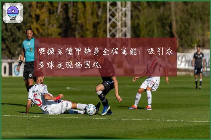 樊振东德甲热身全程高能，吸引众多球迷现场围观